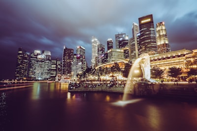 新加坡公司注册的步骤