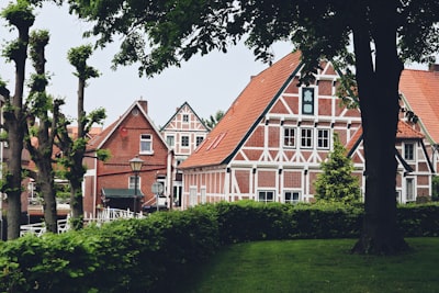 步骤一：确定公司类型