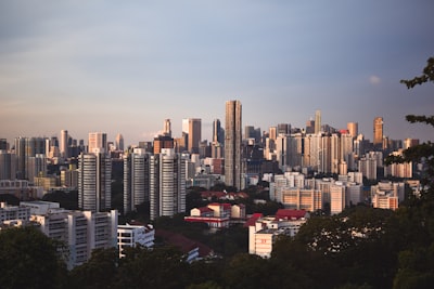 新加坡公司运营的法律要求与注意事项