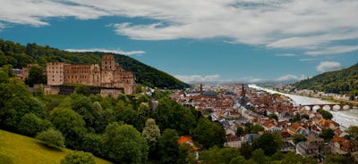 德国公司注册后的发展策略