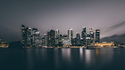 新加坡公司注册的类型及适合的企业