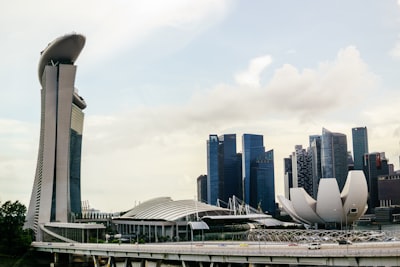 注册类型的选择