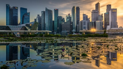 注册代理服务的重要性