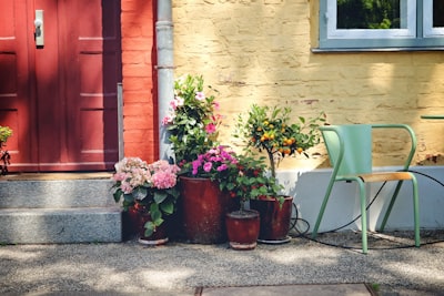 了解德国的商业文化和市场环境