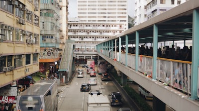 当前香港优才计划的趋势