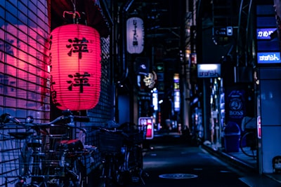 未来展望