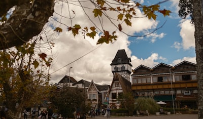 选择合适的公司类型：量身定制您的商业模式