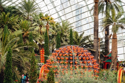 注册流程：逐步指南