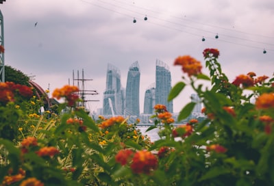 公司类型选择：找到最适合您的“船”