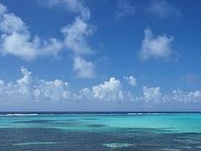 注册开曼公司的费用