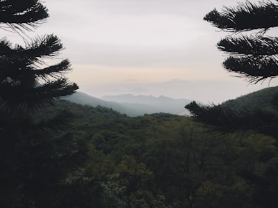 高才通计划的背景及目标