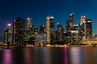 新加坡注册公司类型全景分析