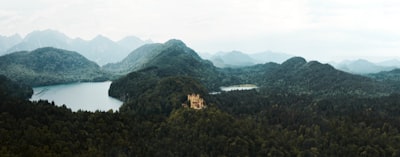 9. 办理必要的营业执照