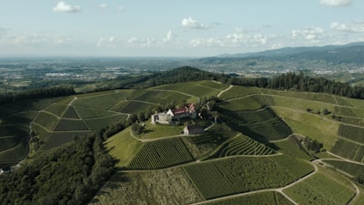 编写商业计划书