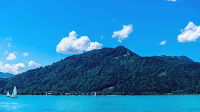 适应本地文化和市场