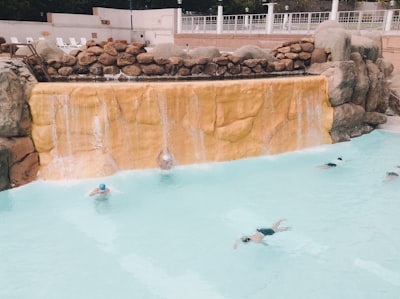高才计划的申请流程