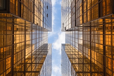 企业社会责任与可持续发展