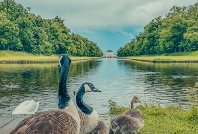 注册社会保险和其他必要的申请