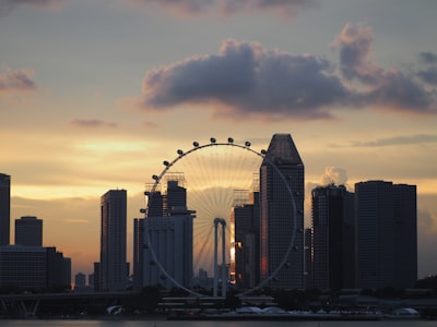 新加坡公司成立后的日常管理
