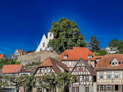 5. 公证和注册