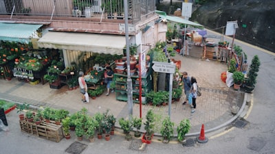 香港公司审计的合规要点