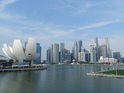 新加坡公司注册流程：一步一个脚印，顺利完成注册
