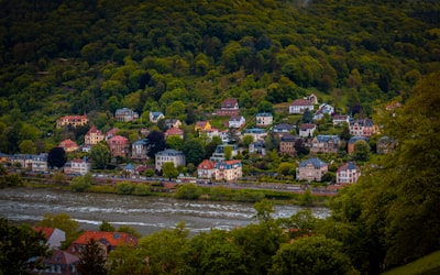 合规运营：持续发展的基础