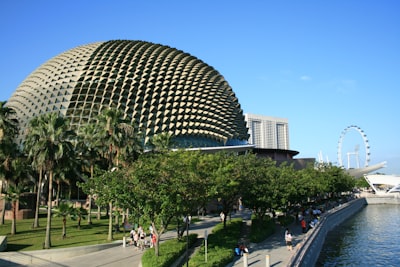 了解新加坡公司类型：选择适合您的业务模式