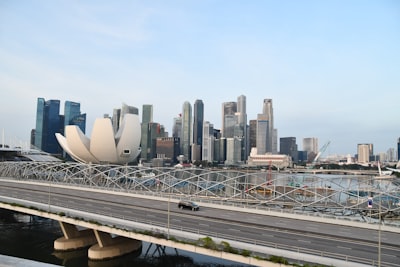 新加坡公司注册的类型