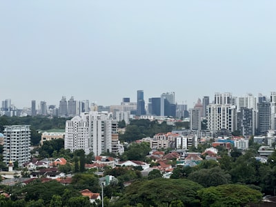 新加坡公司的主要类型