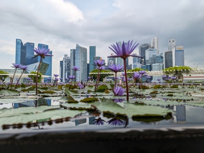 选择正确的商业实体：奠定成功基石