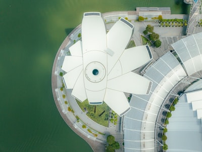 新加坡公司注册的主要类型