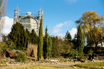 公司类型选择：哪种适合您？