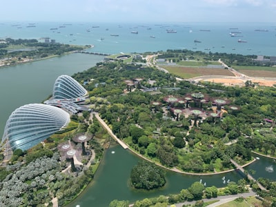 结语：开启您的狮城商业之旅