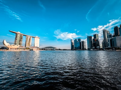 新加坡公司注册的主要类型