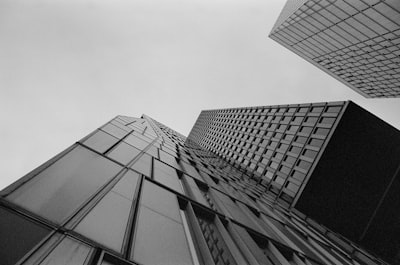 风险规避与合规经营