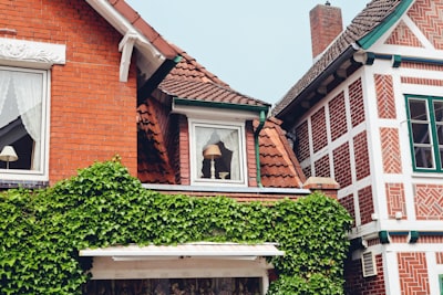 德国公司注册的常见公司类型